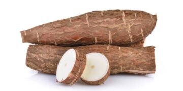 Mandioca o superalimento que turbina seu desempenho