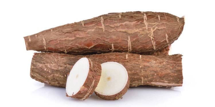 Mandioca - Créditos: depositphotos.com / sommaill