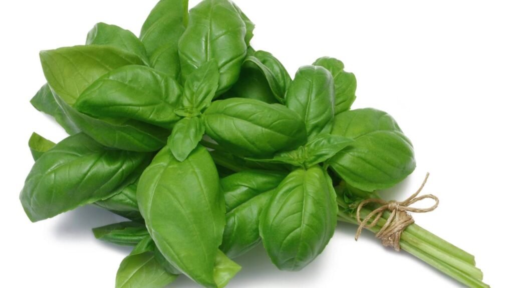 O poder desse tempero vai muito além do sabor e pouca gente sabe