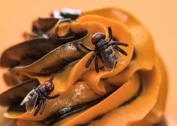 Esta folha que você tem na cozinha é a solução para afastar moscas