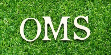 O hábito que parece inofensivo mas preocupa a OMS no mundo todo