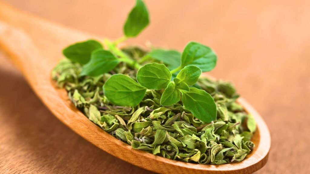 A erva aromática que está nos pratos dos chefs e ajuda na digestão e imunidade