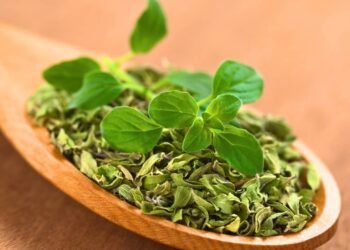 A erva aromática que está nos pratos dos chefs e ajuda na digestão e imunidade