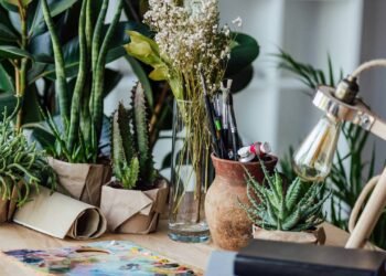 5 plantas que afastam moscas e deixam o ambiente mais perfumado