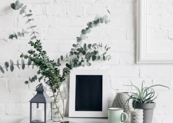 Plantas purificadoras viram tendência em lares que buscam equilíbrio