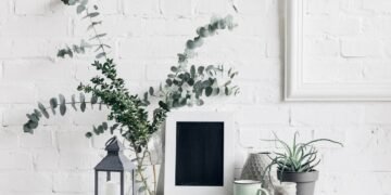 Plantas purificadoras viram tendência em lares que buscam equilíbrio