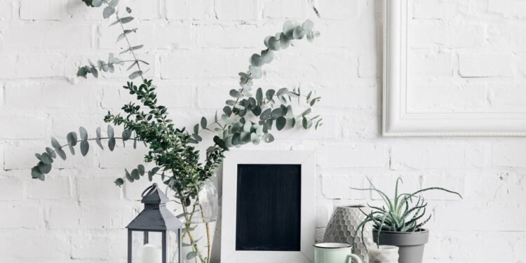 Plantas purificadoras viram tendência em lares que buscam equilíbrio