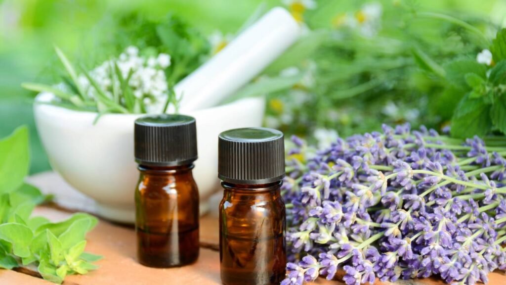 Essas plantas brasileiras têm poder medicinal e estão voltando com tudo