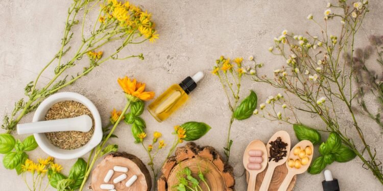 As 5 plantas medicinais mais queridas por quem busca cura natural