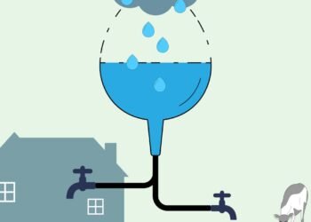 O truque caseiro que reduz o consumo de água e ainda ajuda o planeta