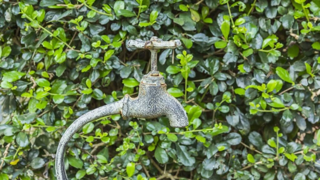 O truque caseiro que reduz o consumo de água e ainda ajuda o planeta