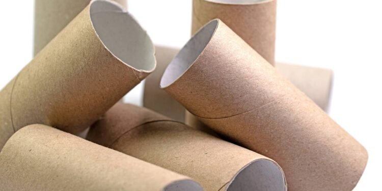 Transforme rolinhos de papel em organizadores criativos e baratos