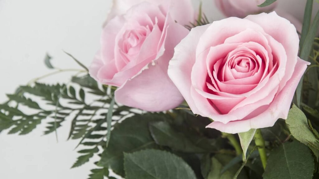 Solução barata e natural que faz suas flores durarem mais no calor
