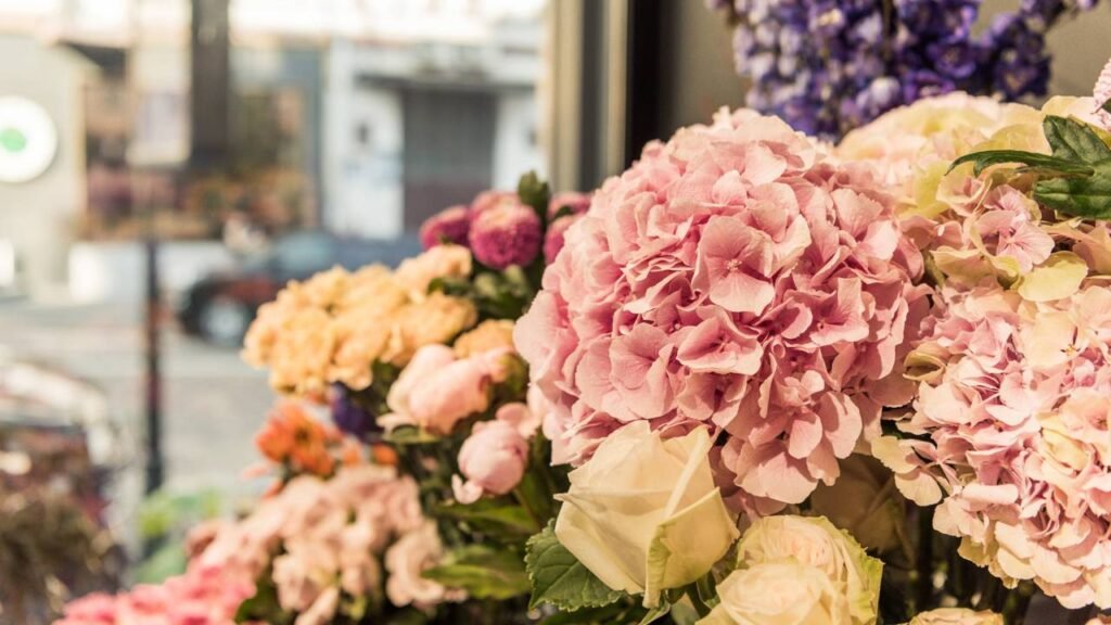 Como prolongar a floração das rosas e mantê-las sempre radiantes