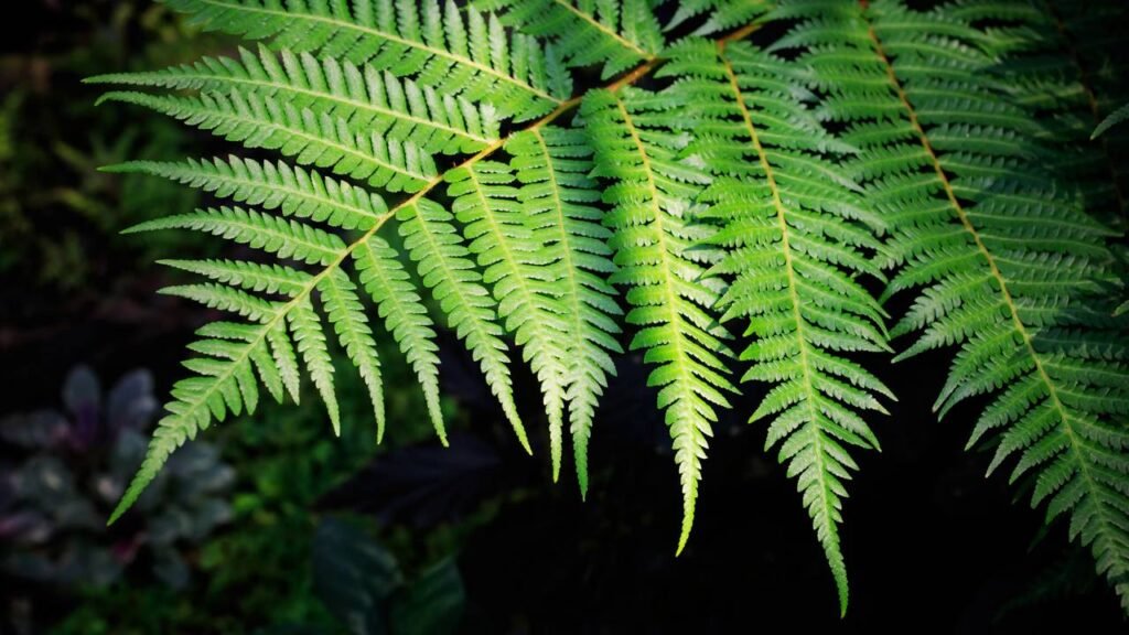 As melhores plantas seguras para pets que deixam sua casa linda e sem riscos