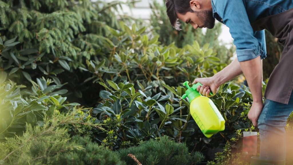 Aprenda a cultivar folhas frescas em casa de forma simples e econômica