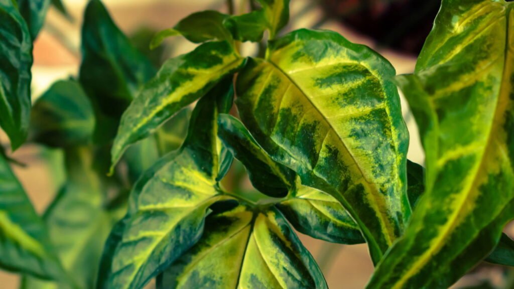 7 plantas resistentes que se adaptam perfeitamente ao clima brasileiro