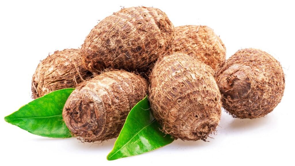 Taioba comestível é um dos alimentos mais ricos e esquecidos do Brasil