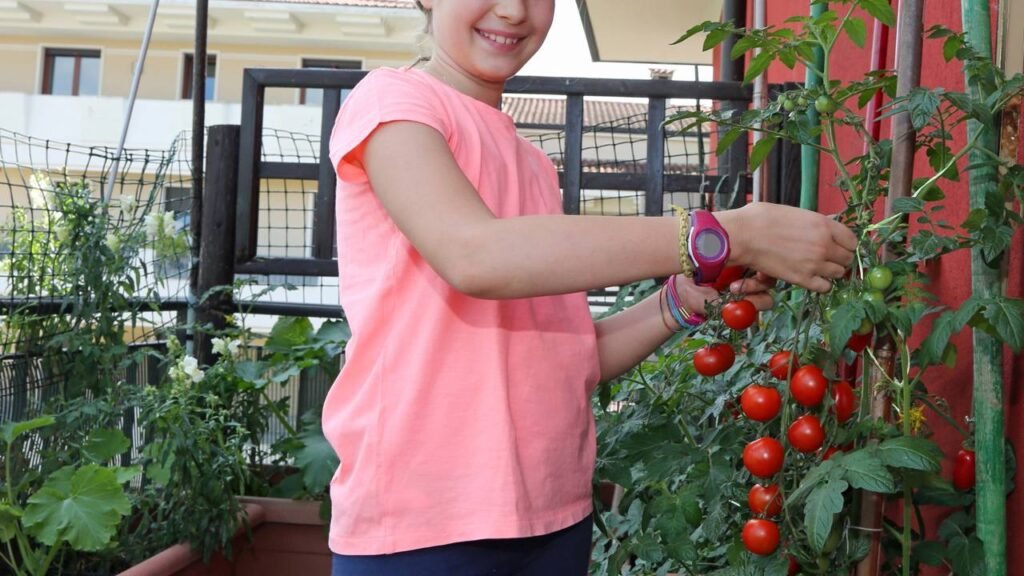 Comecei a cultivar tomates na varanda e agora nunca mais compro no mercado