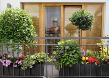 Ela tinha só 2m² e criou o cantinho mais charmoso da casa com plantas e luzinhas