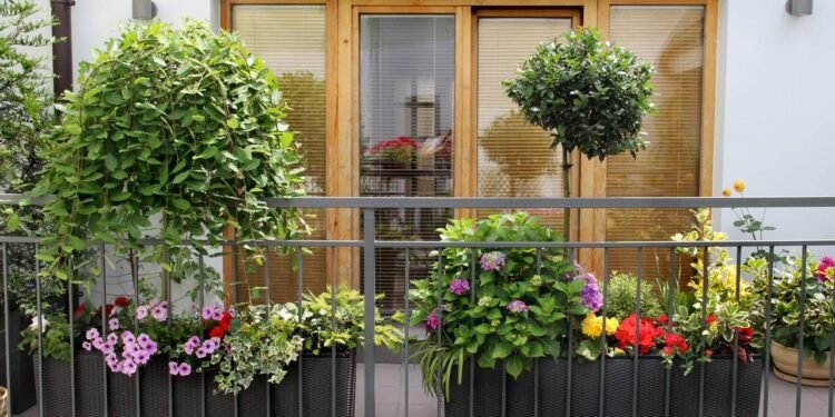 Ela tinha só 2m² e criou o cantinho mais charmoso da casa com plantas e luzinhas