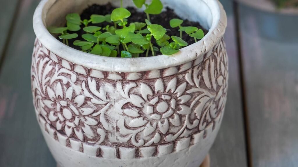 As melhores ideias para substituir vasos comuns com estilo e sustentabilidade