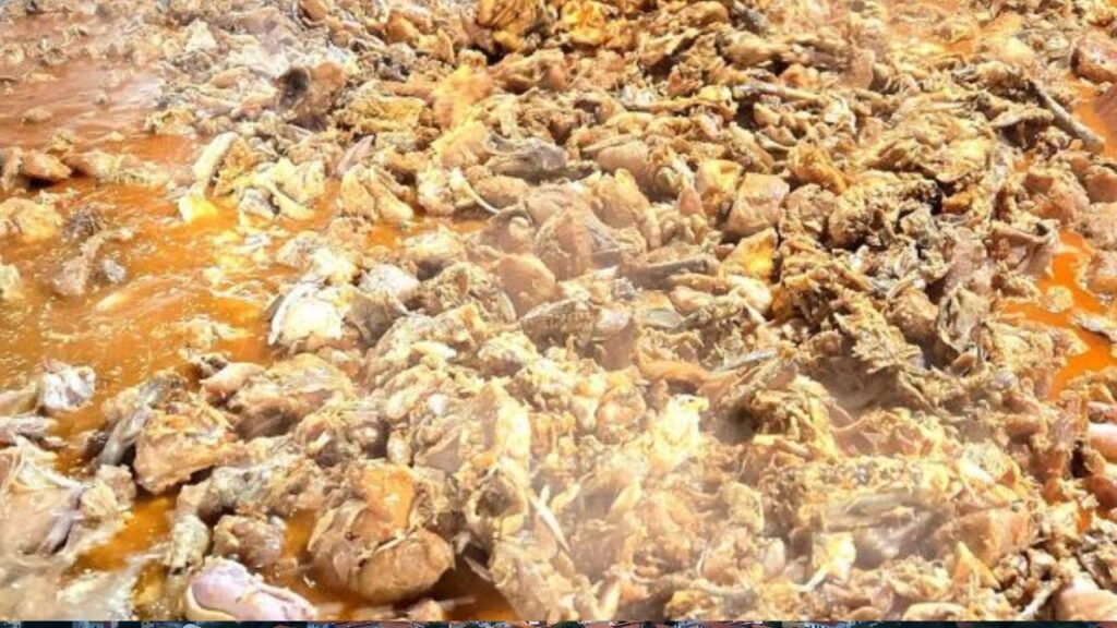 Cidade mineira conquista recorde brasileiro com maior frango com quiabo de 236 kg