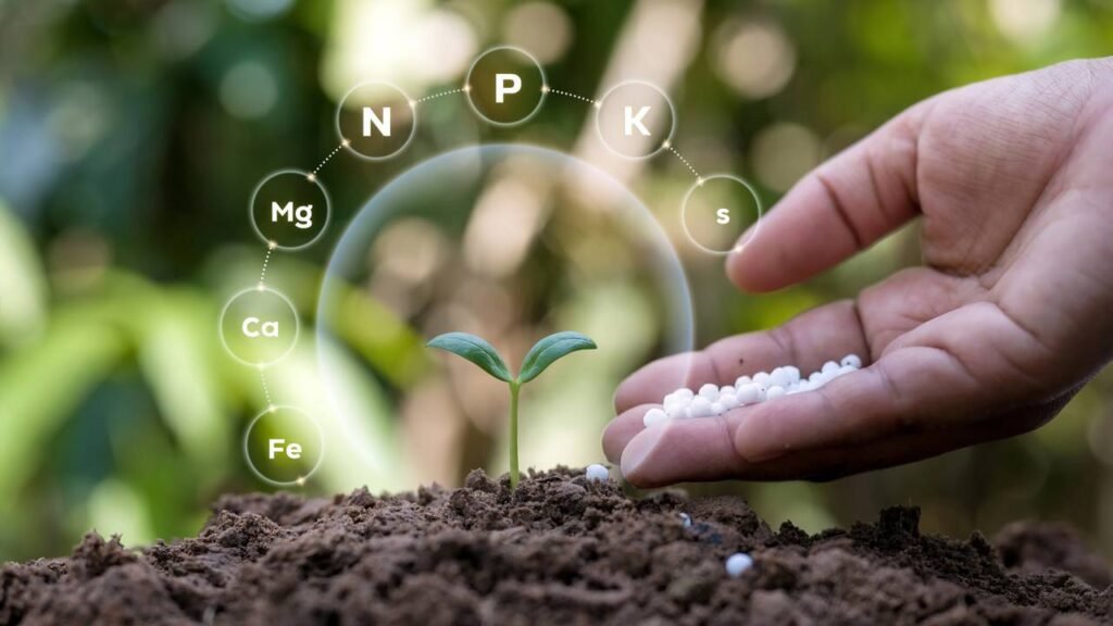 Essa dica simples fez meus morangos ficarem mais doces e durarem mais