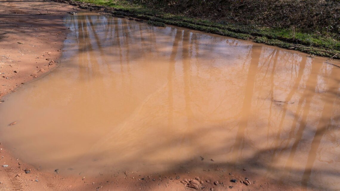 O que significa sonhar com água suja ou parada?
