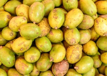 Cajá-Manga é o superalimento tropical que surpreende!