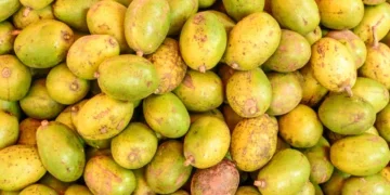 Cajá-Manga é o superalimento tropical que surpreende!