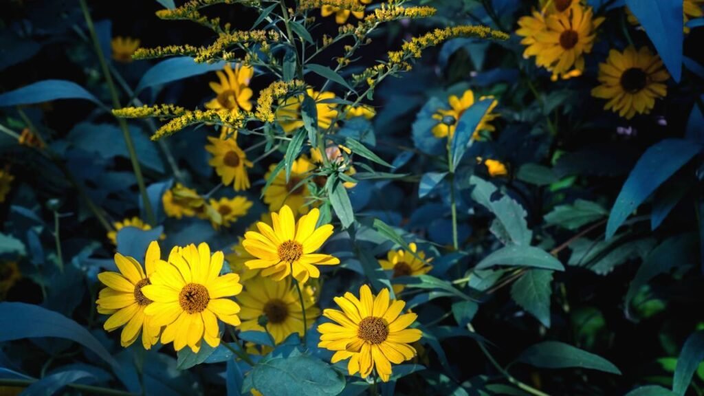 As plantas brasileiras mais poderosas contra dores nas articulações