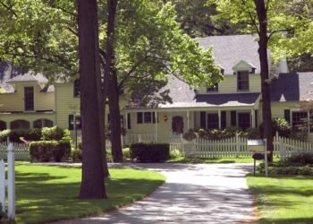 7 árvores que fazem sombra de verdade sem derrubar folhas por todo lado