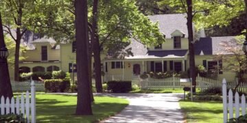 7 árvores que fazem sombra de verdade sem derrubar folhas por todo lado