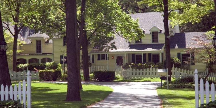 7 árvores que fazem sombra de verdade sem derrubar folhas por todo lado