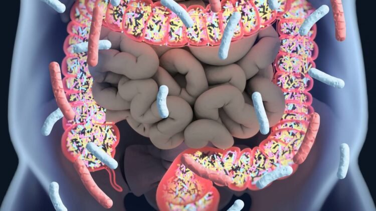 A bactéria no intestino materno que pode reduzir complicações na ...