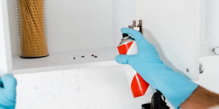 Ignorar a presença de baratas oferece riscos consideráveis à saúde - Créditos: depositphotos.com / IgorVetushko