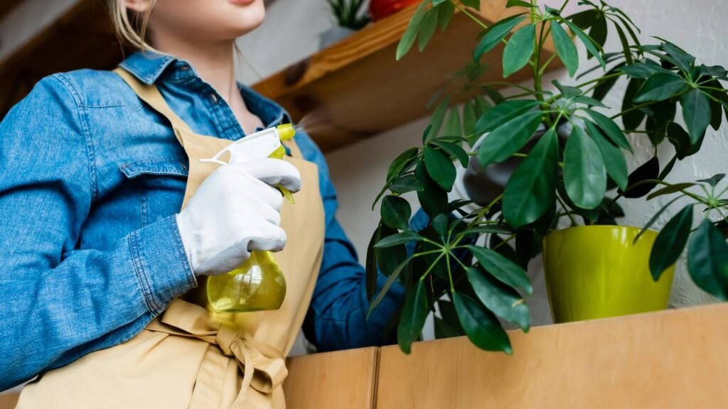 Jardineiros estão usando isso nas plantas e os resultados são surpreendentes