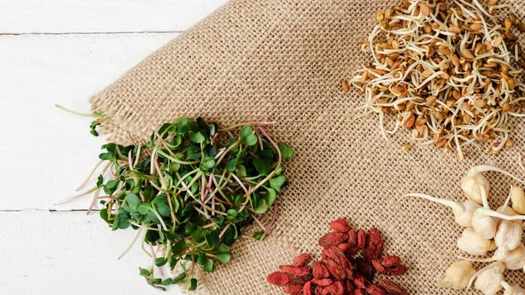 Brotos fáceis de cultivar em casa que garantem nutrientes em poucos dias