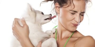 Seu cão te beija? Veterinário explica o risco que poucos conhecem