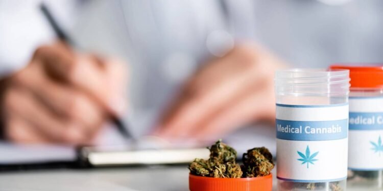 Anvisa proíbe venda de produtos de cannabis e cogumelo - Créditos: depositphotos.com / HayDmitriy