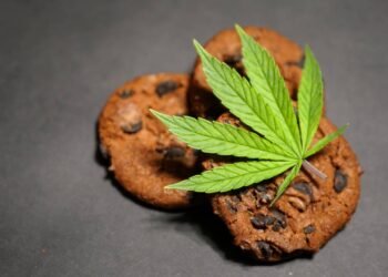 Anvisa proíbe a venda de produtos com maconha e cogumelos