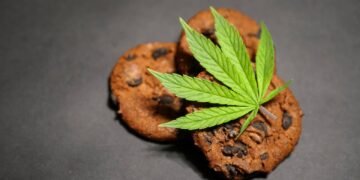 Anvisa proíbe a venda de produtos com maconha e cogumelos