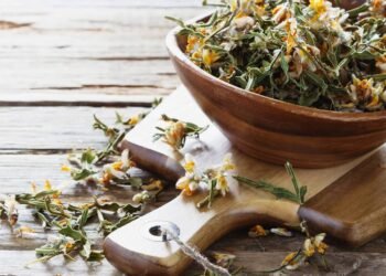 O poder da carqueja para quem sofre de digestão lenta e fígado gorduroso