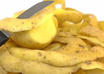 A casca que você joga fora pode ser a melhor aliada para sua saúde