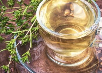 Orégano o aliado natural para pele e articulações