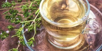 Orégano o aliado natural para pele e articulações