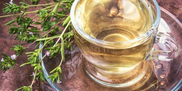 chá de oregano - Créditos: depositphotos.com / Nikolay_Donetsk