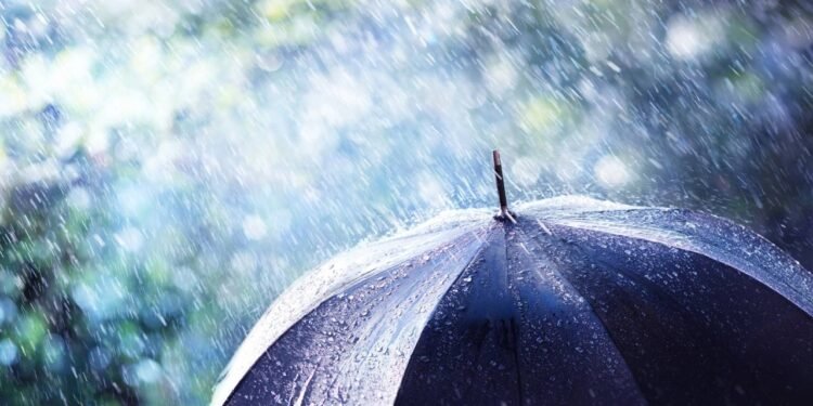 Guia de cuidados essenciais para enfrentar as chuvas de novembro