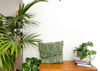 As melhores plantas para transformar corredores escuros em espaços cheios de vida